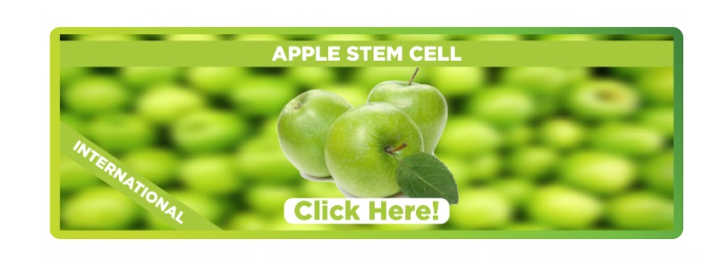 apple-stem-cell