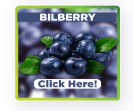 bilberry