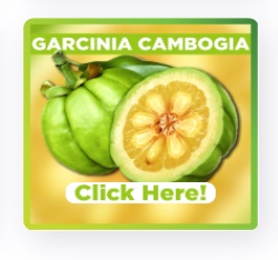 garcina-cambodia